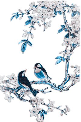 soave deco bird spring branch flowers blue brown - безплатен png