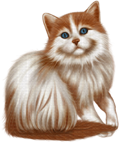 Cat Chat - 免费PNG