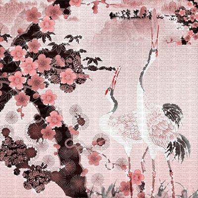 kikkapink pink background oriental gif animated - GIF animasi gratis
