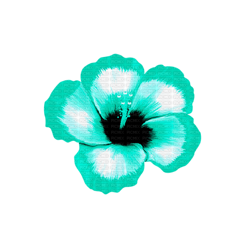 Tropical.Flower.Teal - 無料png
