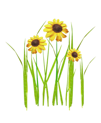 Kathleen Reynolds Grass Flowers - zadarmo png