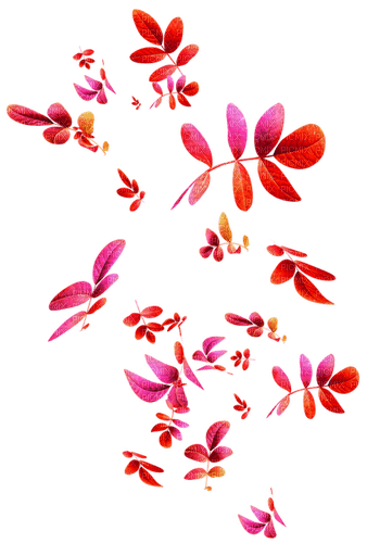 Leaves.Pink.Red.Orange - png gratuito