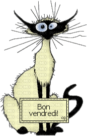 un chat surpris - Безплатен анимиран GIF