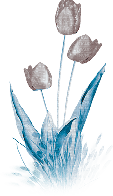 soave deco flowers garden spring tulips grass - безплатен png