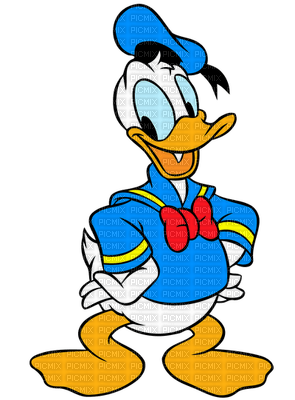 donald duck - darmowe png