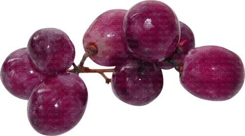raisins, grape - png ฟรี