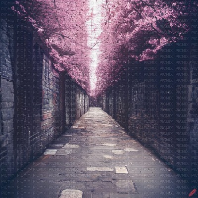 Alleyway with Sakura - png ฟรี