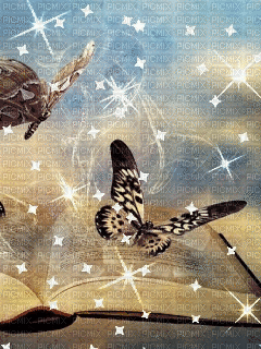 glitter flies - 無料のアニメーション GIF