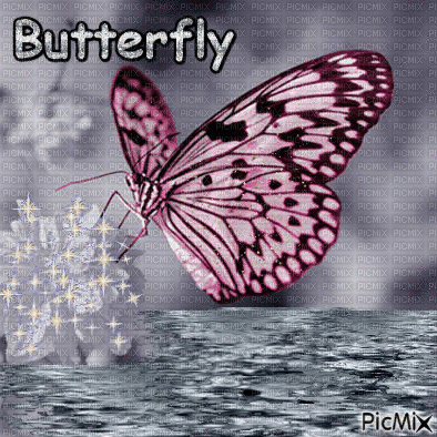 Motýl - Free animated GIF