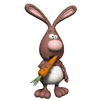 ani-hare-bunny - Gratis animerad GIF