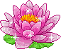 flor de loto - Gratis animerad GIF