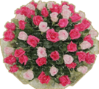 kwiaty - Безплатен анимиран GIF