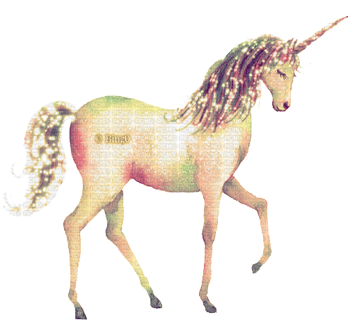 Y.A.M._Fantasy unicorn