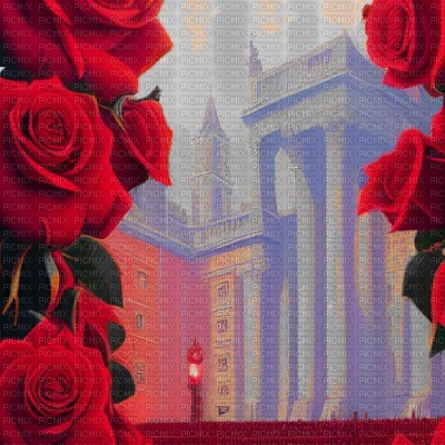 Red Roses in City - бесплатно png