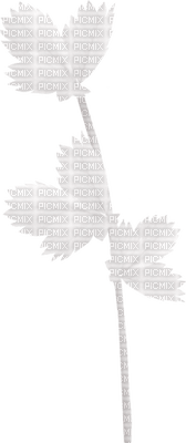 Kaz_Creations White Deco Colours Leaves Leafs - ilmainen png