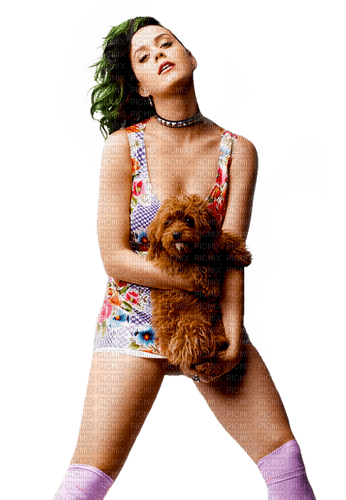 katy Perry woman girl - 免费PNG