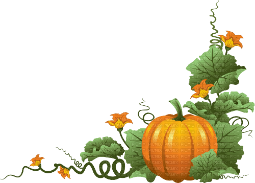 nbl-pumpkin - безплатен png