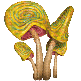 Nina mushroom - Безплатен анимиран GIF