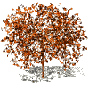 arbre  HD - Animovaný GIF zadarmo