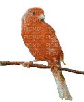 Oiseau - GIF animado gratis