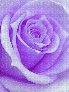 image encre animé effet fleur  rose ink edited by me - Nemokamas animacinis gif