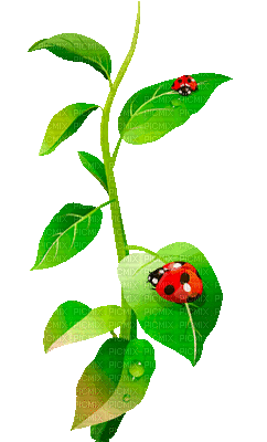 soave deco ladybug  leaves branch spring summer - Бесплатный анимированный гифка