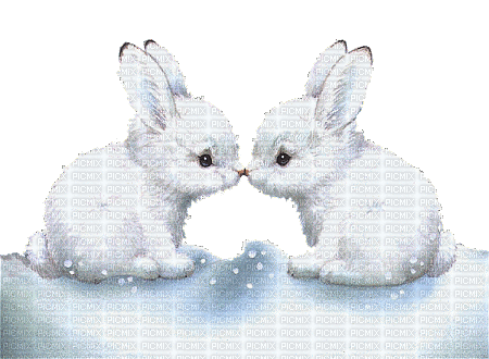 bunny sschlappi50 - Gratis geanimeerde GIF