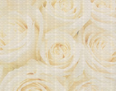 Kaz_Creations Deco Wedding Backgrounds Background - 無料png