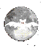 bat moon - Бесплатный анимированный гифка