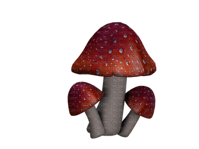 syksy sieni sisustus autumn mushroom decor - Free PNG