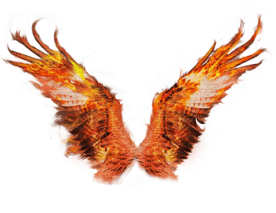 wings - zdarma png
