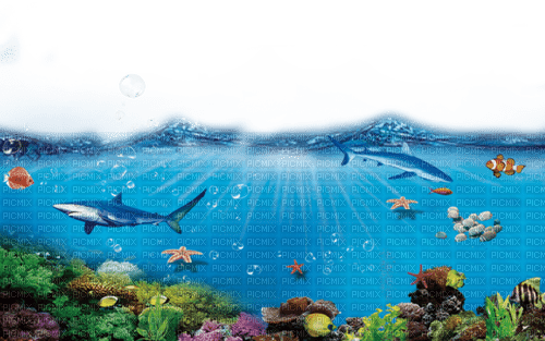 Aquarium - bezmaksas png
