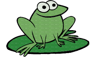 frog - Free PNG