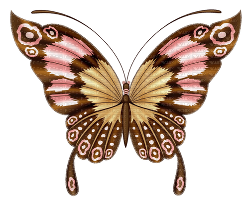 Butterfly - bezmaksas png