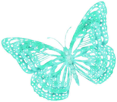 Animated.Butterfly.Teal - KittyKatLuv65 - GIF animate gratis