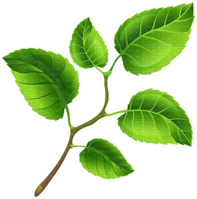 Kaz_Creations Spring Leaves Leafs - 免费PNG