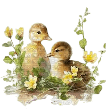 Ducklings sunshine3 - PNG gratuit