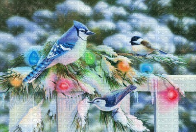 Kaz_Creations Backgrounds Background Christmas Winter Birds - безплатен png