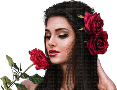 rosa - 免费PNG