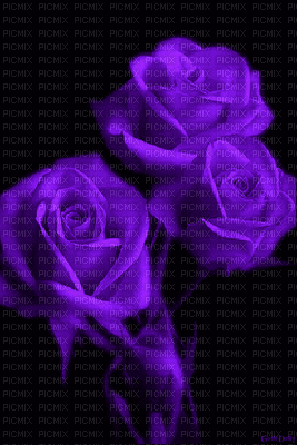 Flowers purple bp - Безплатен анимиран GIF