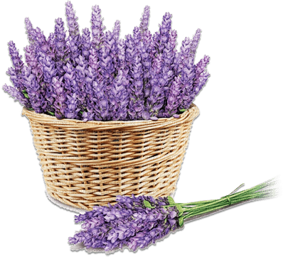 soave deco laventer flowers garden basket - PNG gratuit