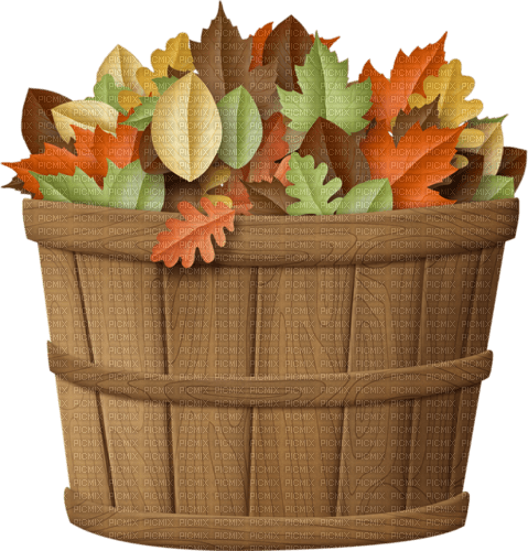 Basket-RM - ücretsiz png