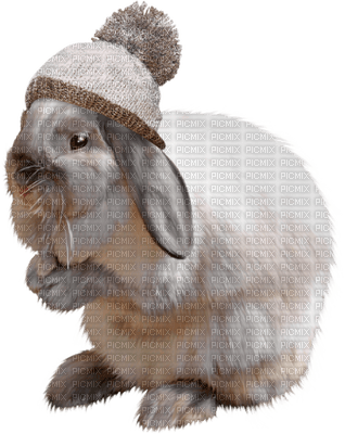 bunny bp - PNG gratuit