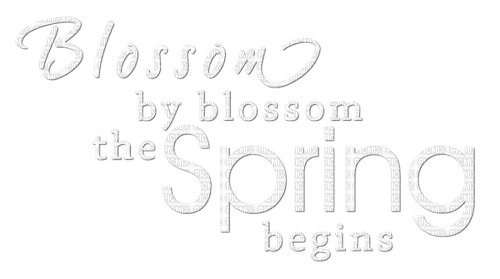 Spring.Text.White - ilmainen png