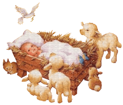 Baby  Jesus -Nitsa - besplatni png