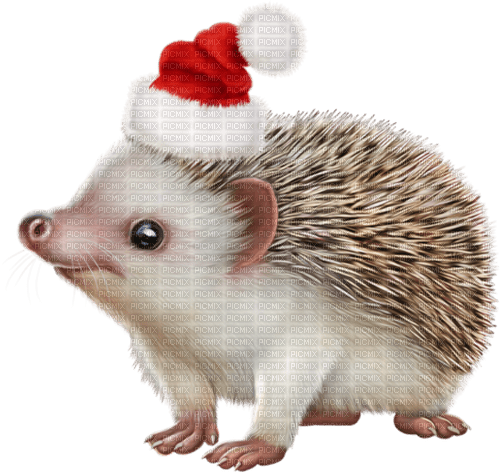 christmas hedgehog by nataliplus - безплатен png
