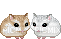 hamster - GIF animado gratis