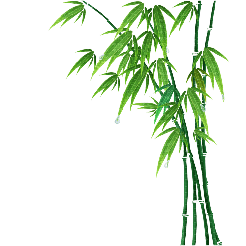 Bambou - png ฟรี