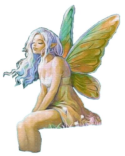 nbl-fairy - 免费PNG