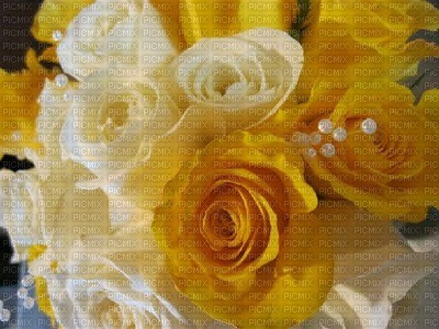 Flowers yellow rose bp - Free PNG